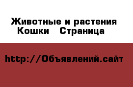 Животные и растения Кошки - Страница 6 